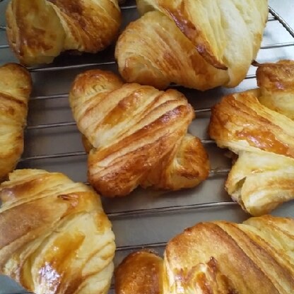 はじめてのクロワッサンです。 5時間かかりました。でも焼きたてが食べれて疲れも吹っ飛びました。